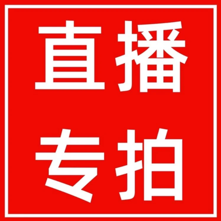 （一物一拍）蕨类盆景绿植