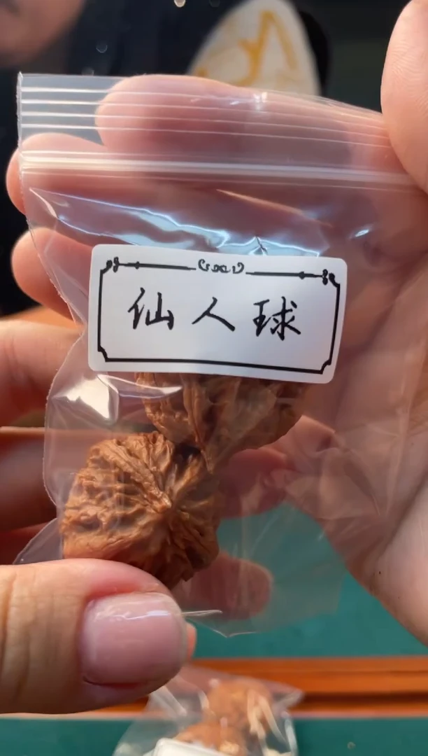 【闪购商品】文玩核桃把件秋子仙人球