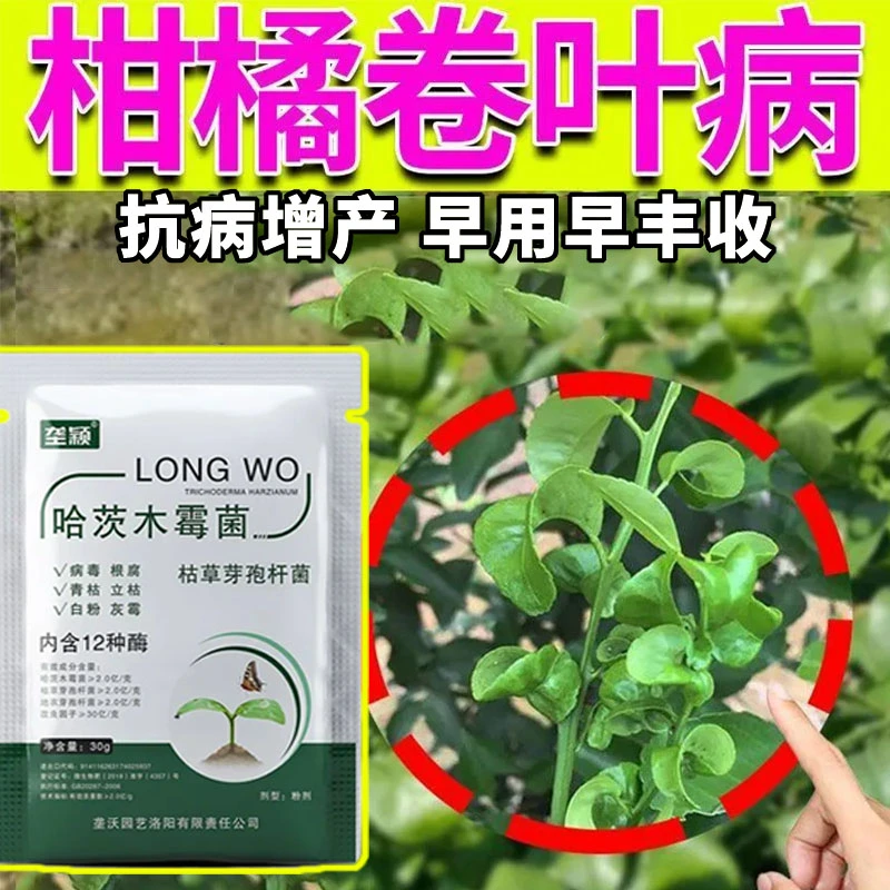 柑橘树卷叶病专用黄化卷叶炭疽黑斑疮痂病溃疡病专用水溶性肥料