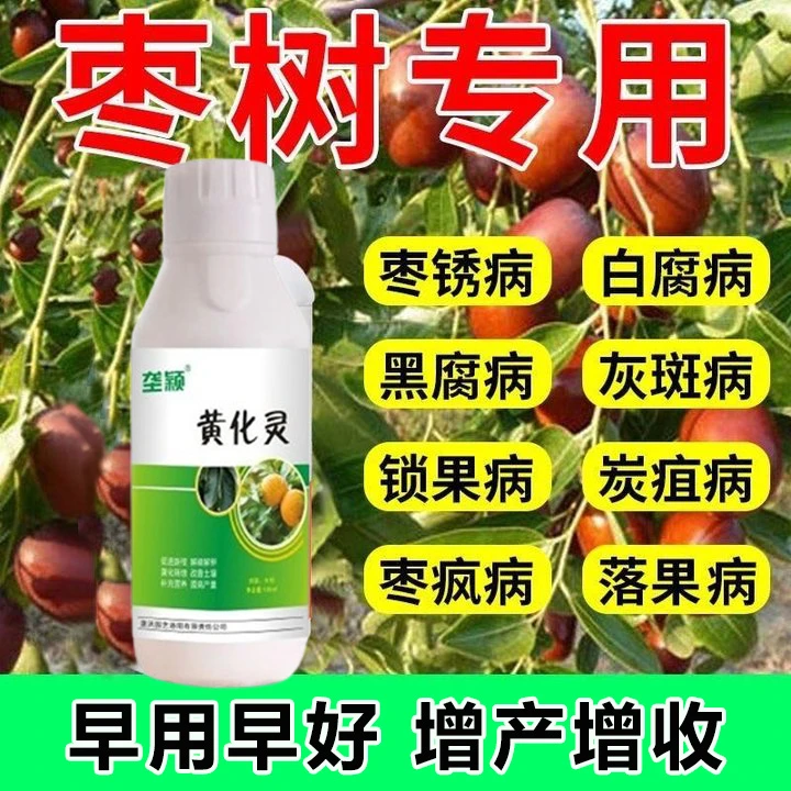 枣树专用肥枣树病毒病枣疯病枣锈病卷叶黄叶炭疽病枣树水溶叶面肥