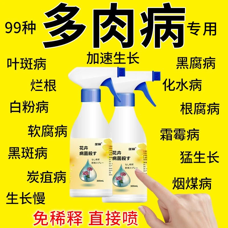 多肉病害清喷剂专用营养液黑腐白粉掉叶烂根黑斑炭疽烟煤锈病肥料