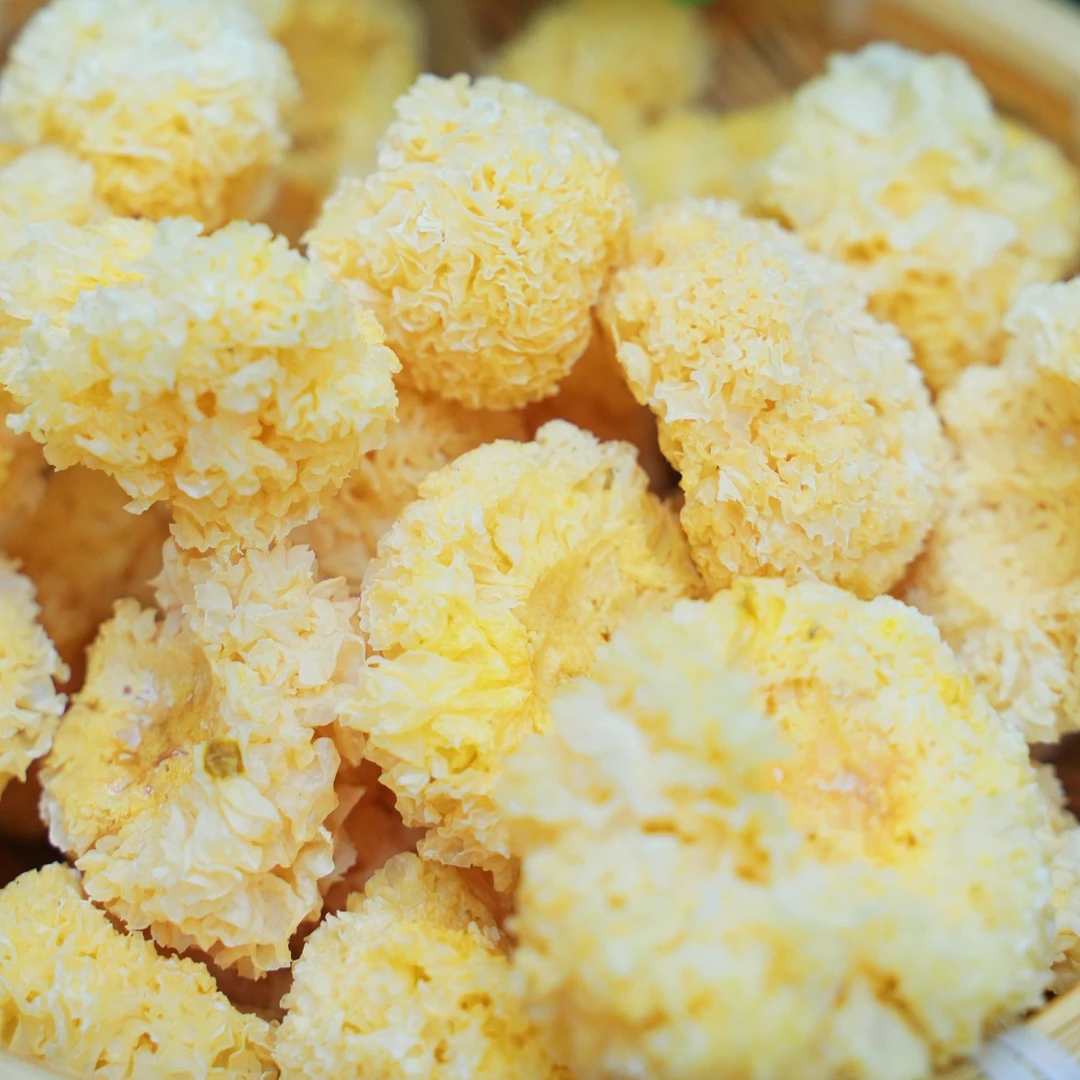 【水电小刘】云南高山椴木银耳小银耳