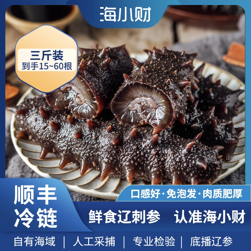 鲜食海参3斤装大连底播辽刺参（到手15~60头）即食送礼营养