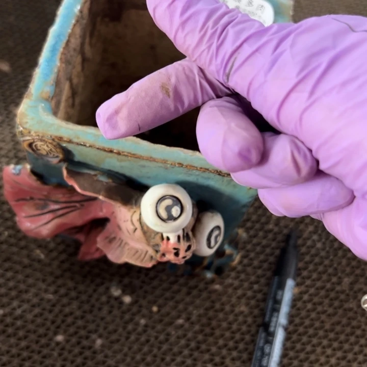 E*a谢谢姐姐～一物一拍1762