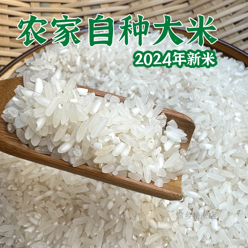 2024年新米重庆农家自种家乡优质大米籼米早稻长粒香米不抛光南方