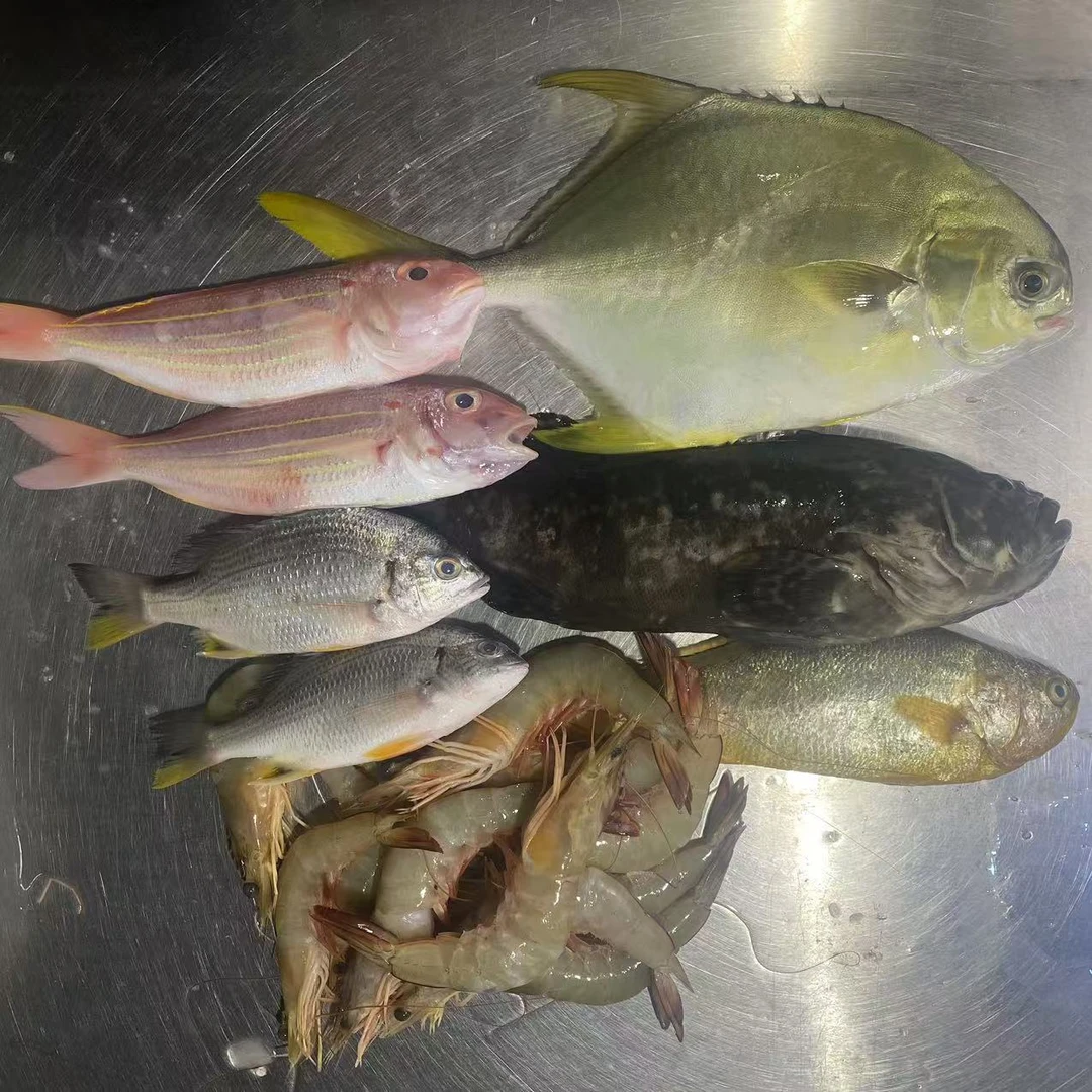 杂鱼套餐A 5斤（石斑，黄花鱼，金丝鱼，大虾，金鲳，黄脚立）