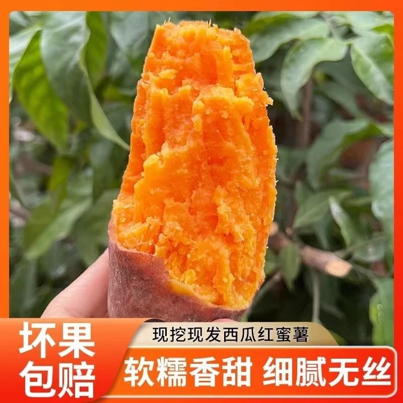 正宗西瓜红蜜薯红心流油新鲜红心烤红薯番薯软糯香甜无丝农家自种