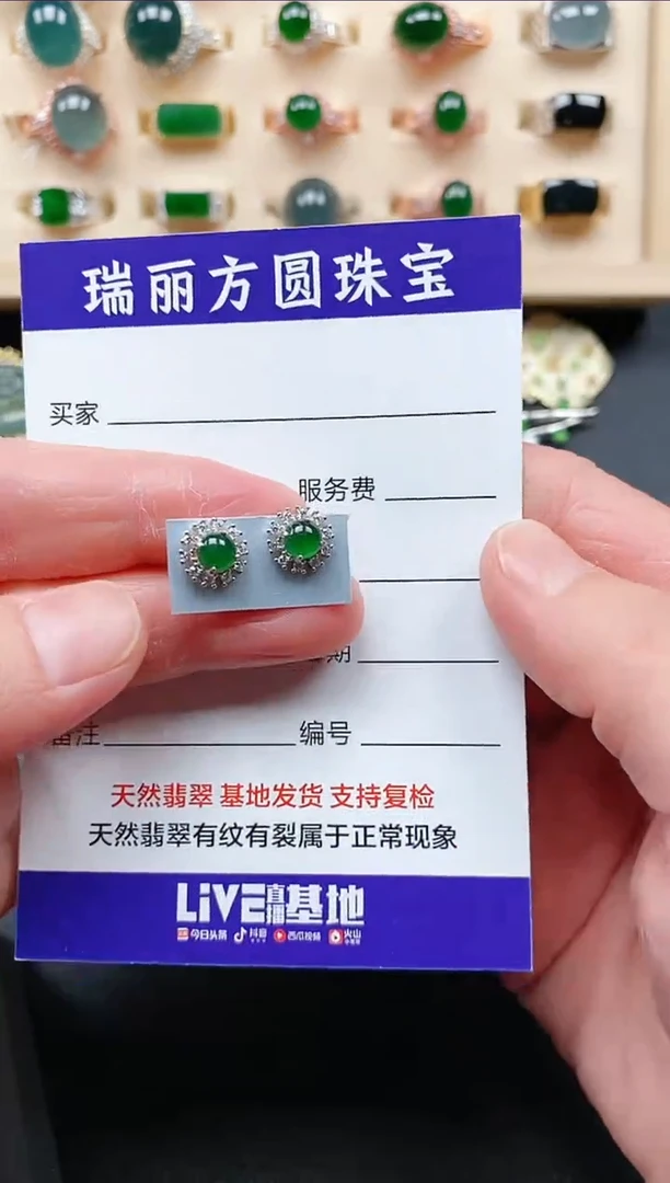 【闪购商品】翡翠耳饰未镶嵌1