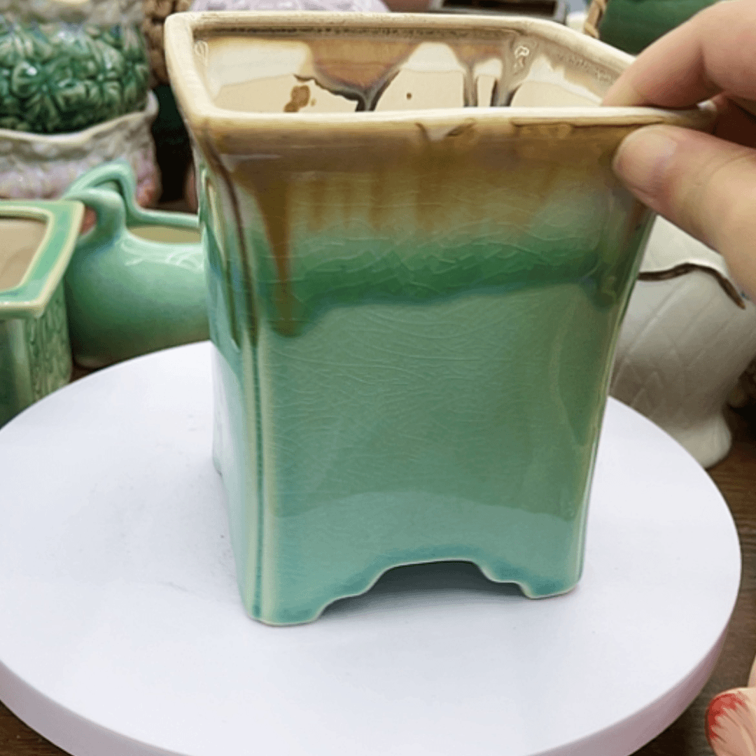 【闪购商品】陶20CM以下