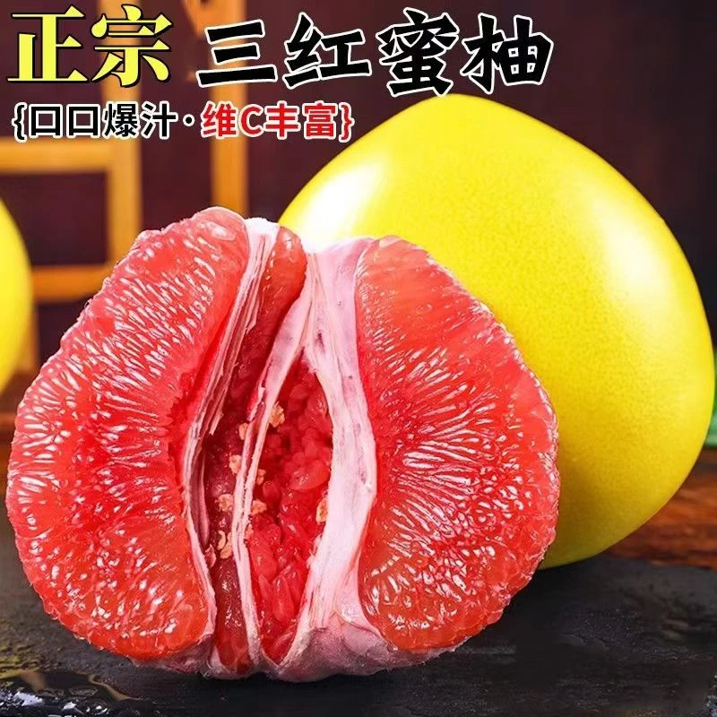 【当日发】正宗福建三红蜜柚老树果水分充盈（龙岩仓发极兔快递）