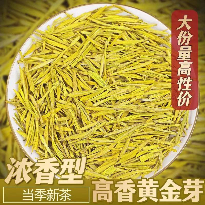 （春茶黄金芽）2023年新茶高山绿茶 浓豆香耐泡礼盒装厂家直销