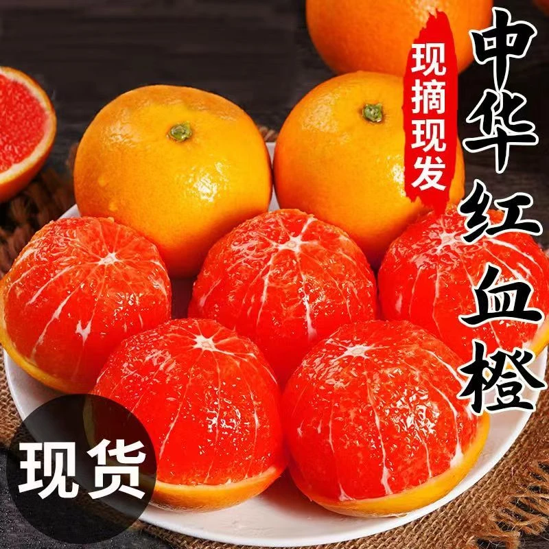 湖北秭归中华红血橙5/9斤新鲜优选农家种植爆汁鲜甜多汁香甜皮薄H