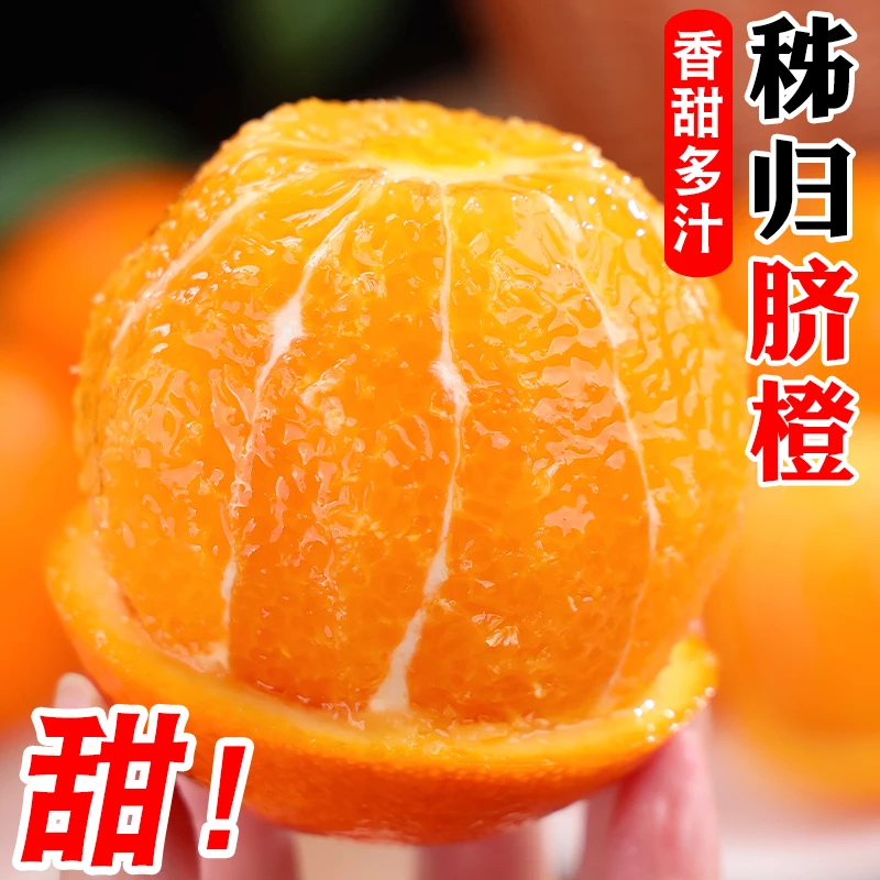 正宗秭归脐橙新鲜优选香甜多汁皮薄5/9斤应季新鲜水果现摘现发
