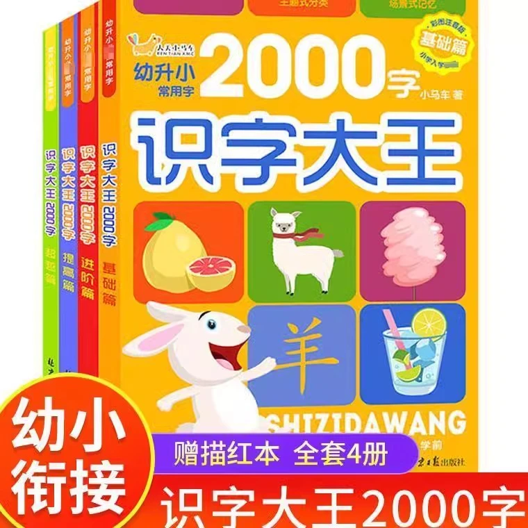 识字大全3000字幼儿园认字神器学前启蒙识字大王书儿童看图入门