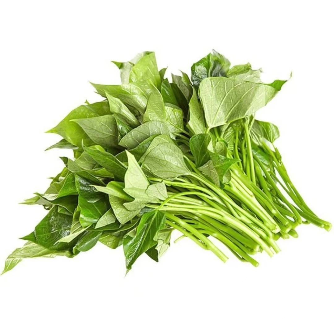 空心菜1斤（生鲜下单后不支持退单，谨慎拍）