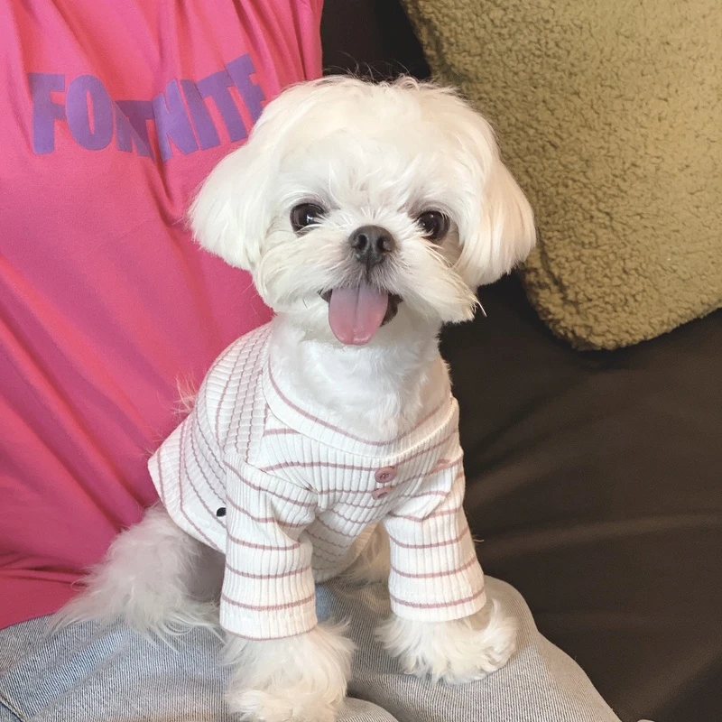 UNLEASHED原创韩国马尔济斯ins条纹宠物针织长袖奶萌白粉猫狗衣服