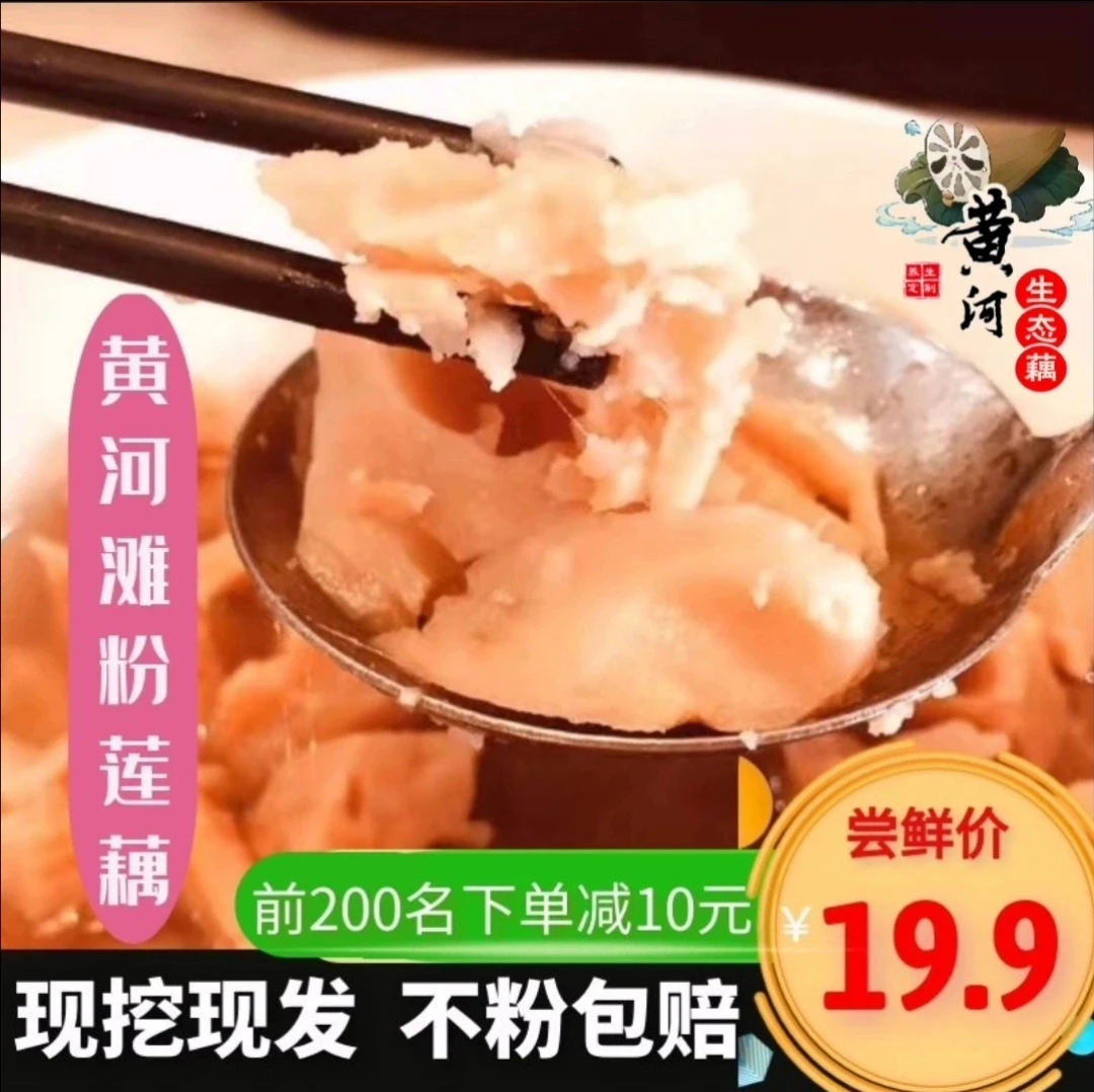 四川巨粉莲藕新鲜现挖现发无需高压锅就能炖粉的巨粉莲藕包粉包面