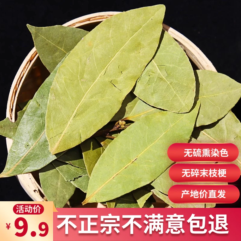 新货香叶正宗广西香叶农产品原产包邮