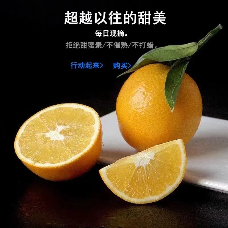 纽荷尔脐橙正宗水果橙子直播脐橙品种一箱10斤批发整箱产直发
