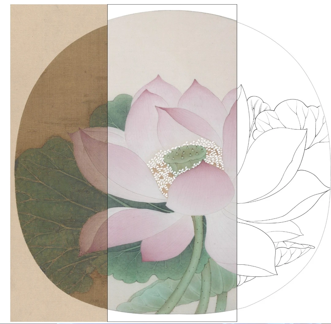 临《出水芙蓉图》纸质底稿,尺寸28*28cm，包含上色步骤视频图文 。