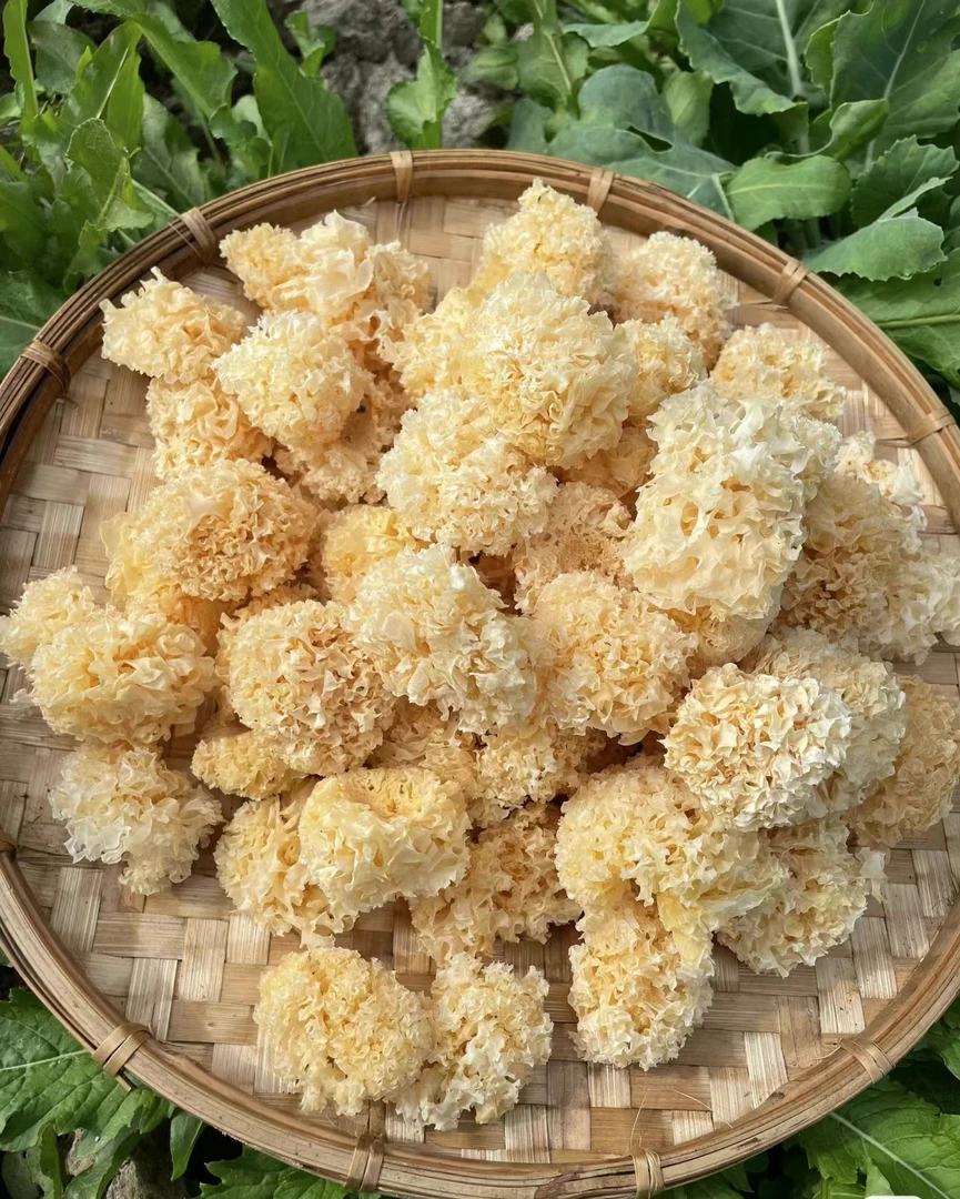 现收食用农产品【椴-目-银-佴】土特产--叶菜
