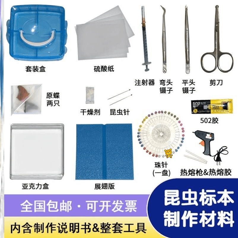 虫标本制作工具蝴蝶标本制作工具虫子标本昆虫标本环氧树脂标本盒
