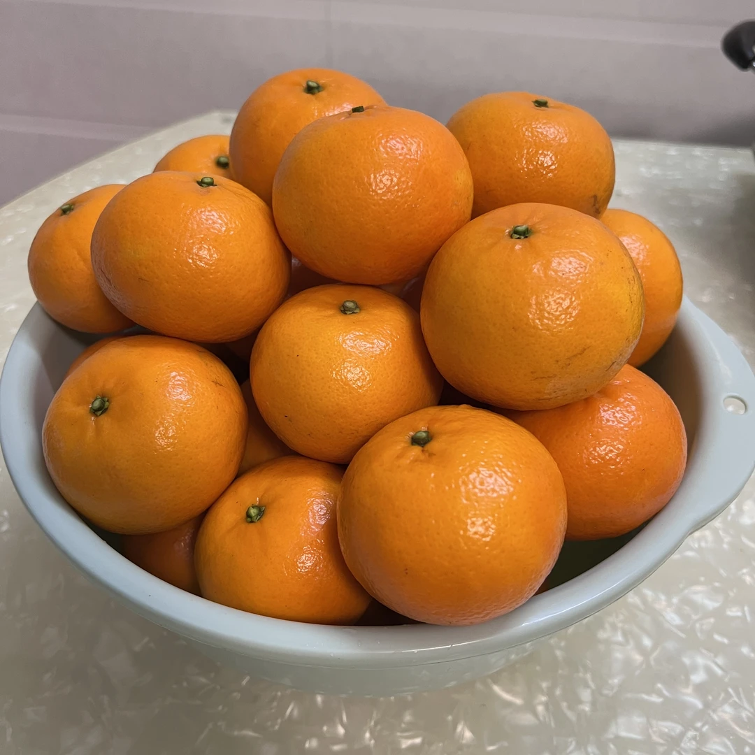 广西农家现摘沃柑大个精品5斤装