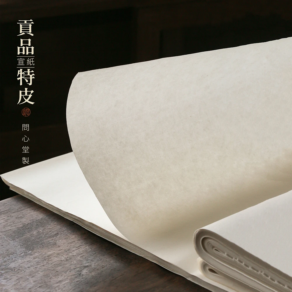 问心堂贡品特皮熟宣10张 宣纸书法书画国展比赛专用作品纸