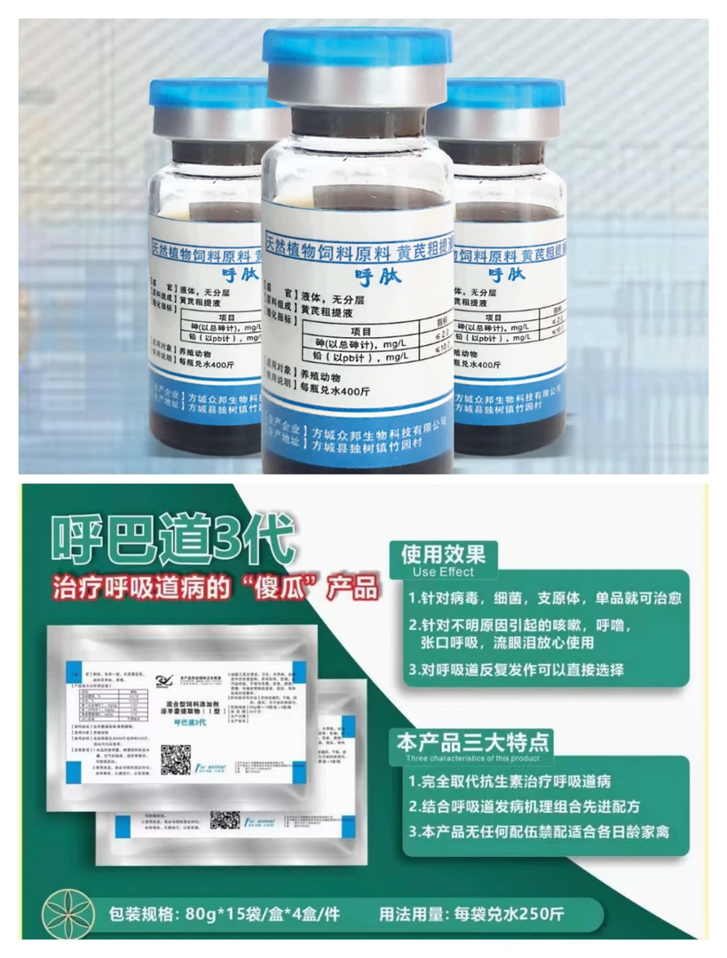 呼肽，乎巴道，鸽子呼吸道感冒受凉，单眼伤风