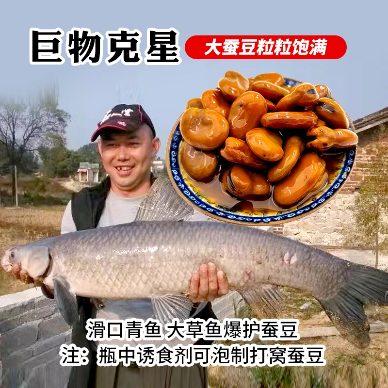 华蓝豆黑坑巨物老滑口鱼大青鱼大草鱼