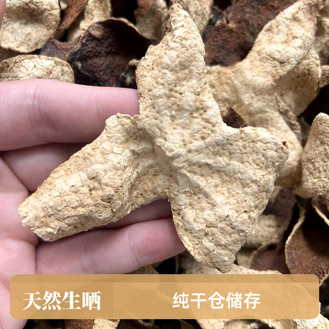 【新会陈皮】2015年梅江木质香龙眼甜圈枝大红皮单片天然生晒纯干仓