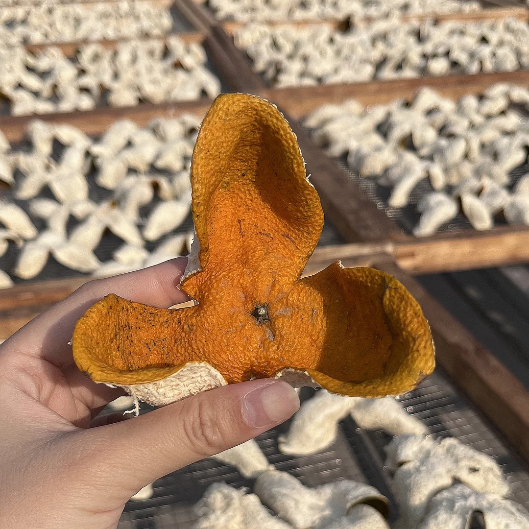 【梅江冬后】新会陈皮2023梅江圈枝冬后大红皮核心产区纯干仓储存