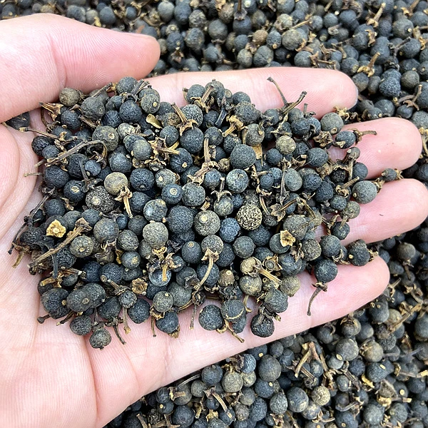 【手工精选】2017年梅江（塞口围）圈枝带花带蒂枝条小柑胎兰花香高香