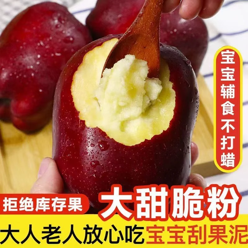 天水花牛苹果粉面蛇果新鲜水果应季婴儿辅食刮泥老人爱吃农家自种