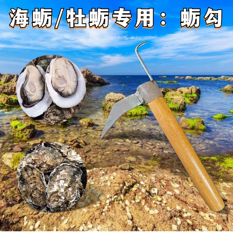 蛎勾 赶海工具海蛎子牡蛎抠壳抠肉
