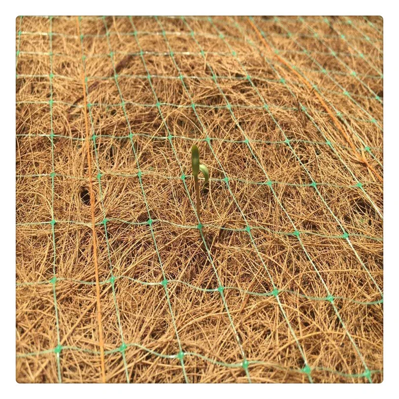 椰丝毯 护坡抗冲生物毯 植生植草毯 河道植物纤维草籽生态毯厂家