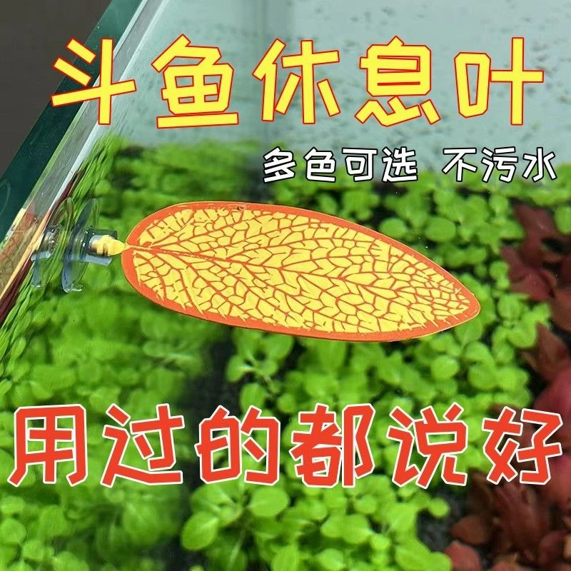 斗鱼休息躲避叶产卵叶仿真水草绿色装饰树叶躲避睡床鱼缸造景用品