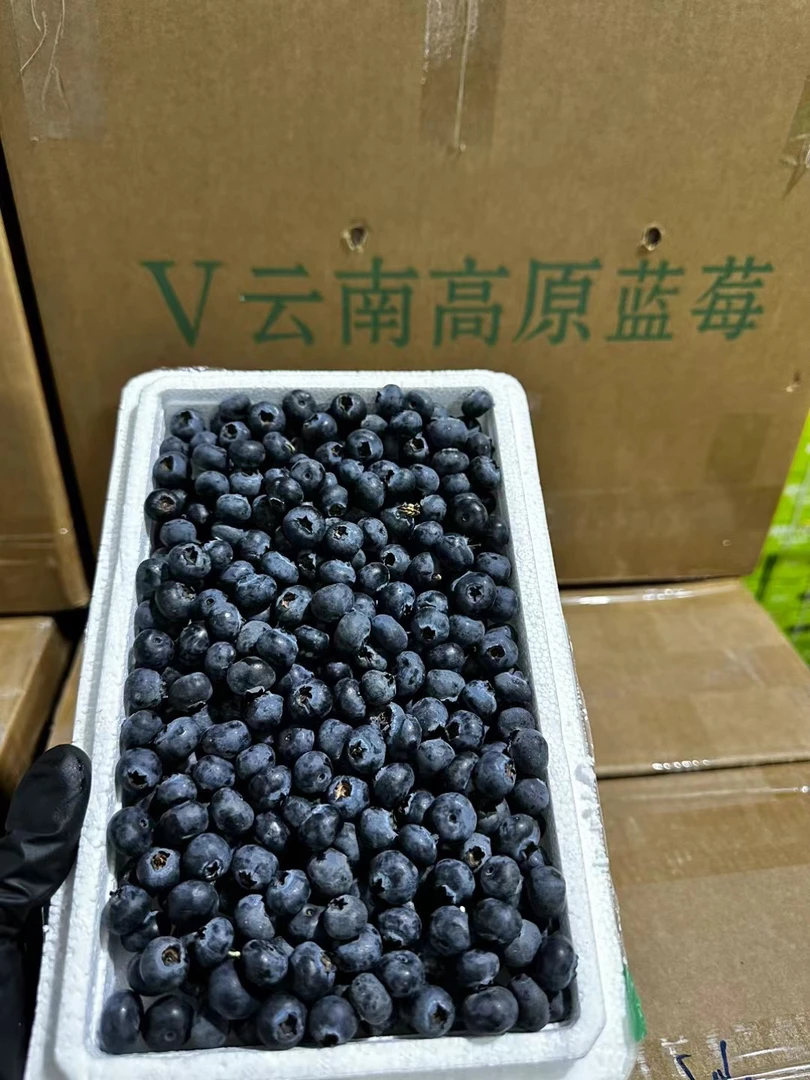 蓝莓12-15+云南高山蓝莓 带箱9两以上 仅大同市平城区云冈区可拍