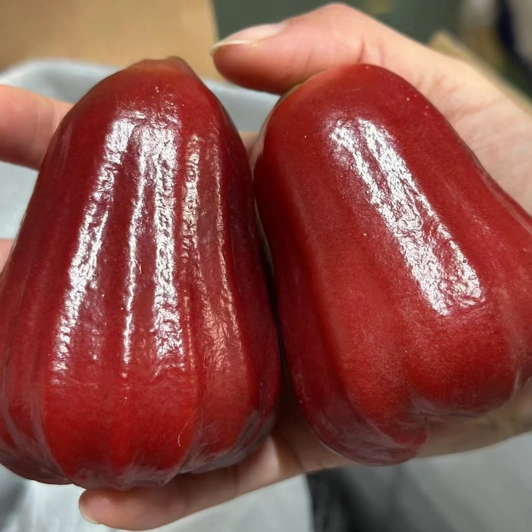 泰国黑金刚树熟莲雾 当季新鲜水果