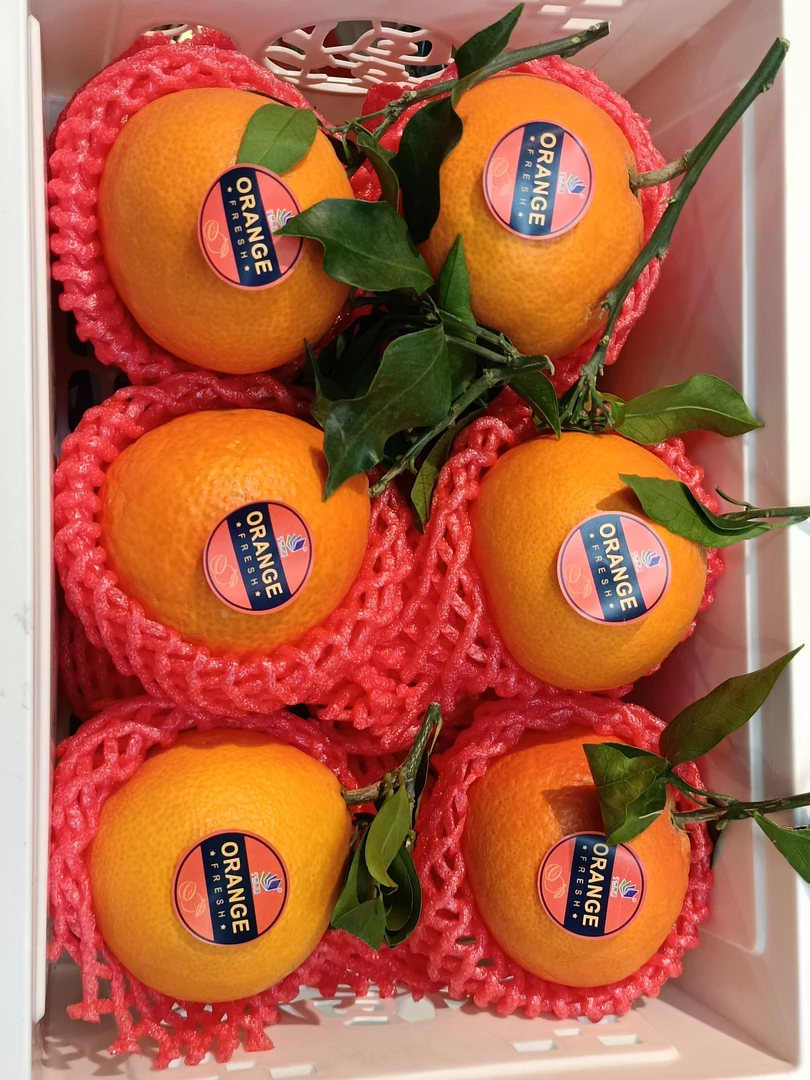 正宗爱媛38果冻橙皮薄爆汁【6斤装】