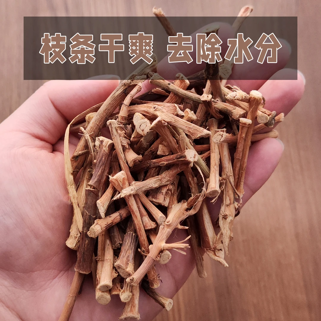 根正宗新鲜干货春砂仁根广东阳春春砂仁老友记