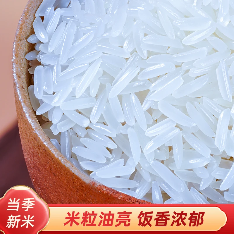 【新人专享鲜米包邮】新米香甜南方长粒香大米丝苗米蛋炒饭煲仔饭