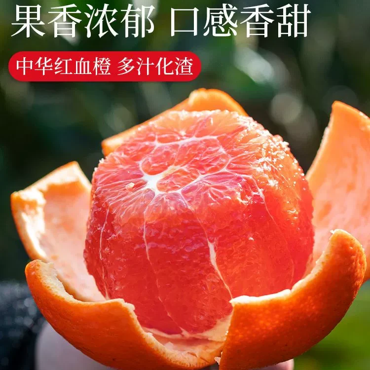 湖北三峡秭归中华红橙红肉脐橙应季鲜果新鲜采摘产地直发包邮包赔