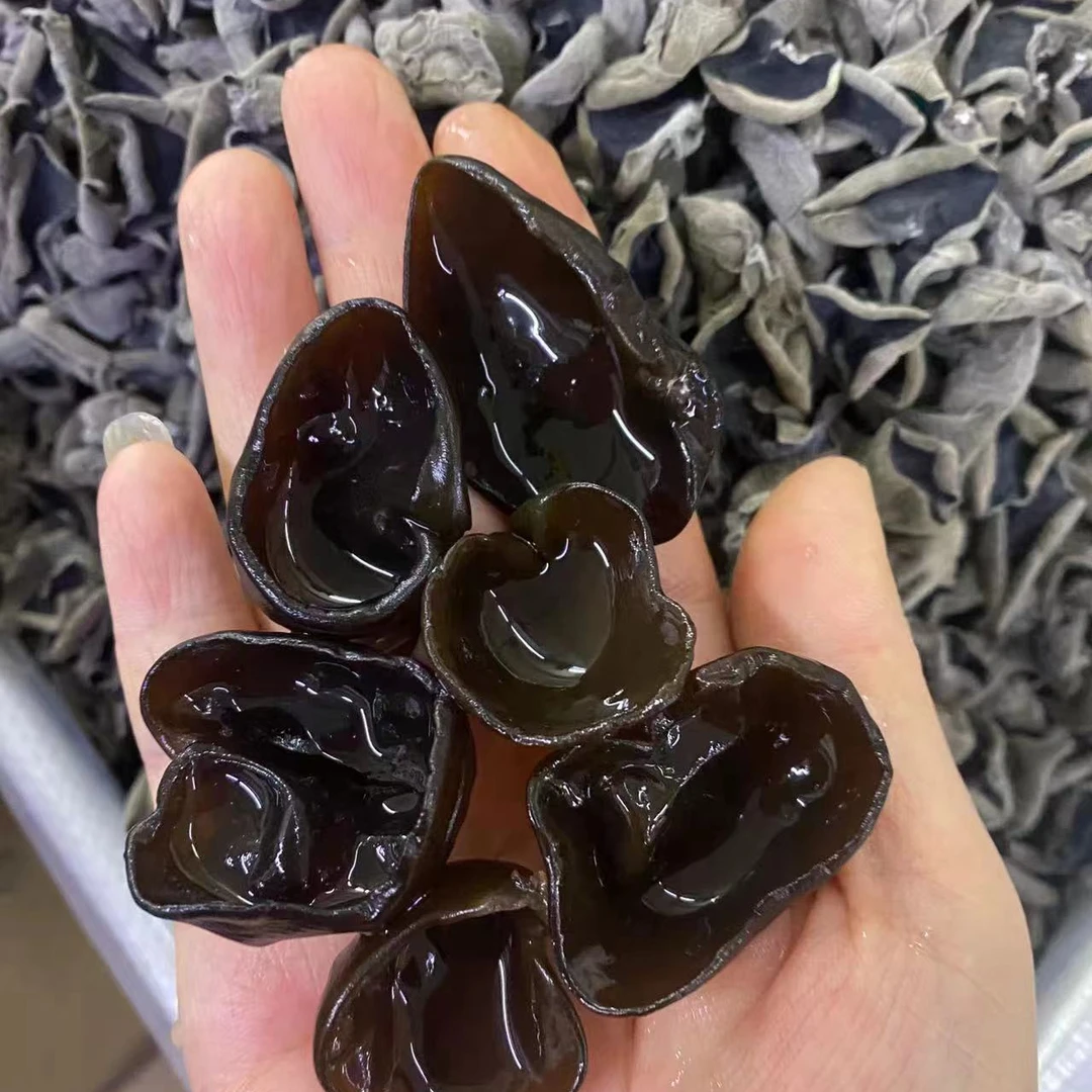 东北特产黑木耳小碗耳干净无根肉厚