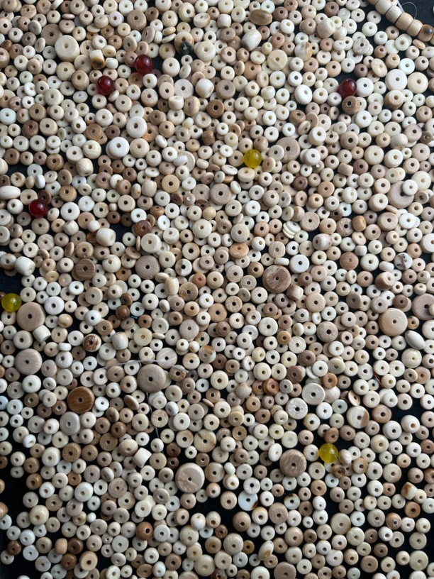 猛犸牙隔片一对6-8m大小都有