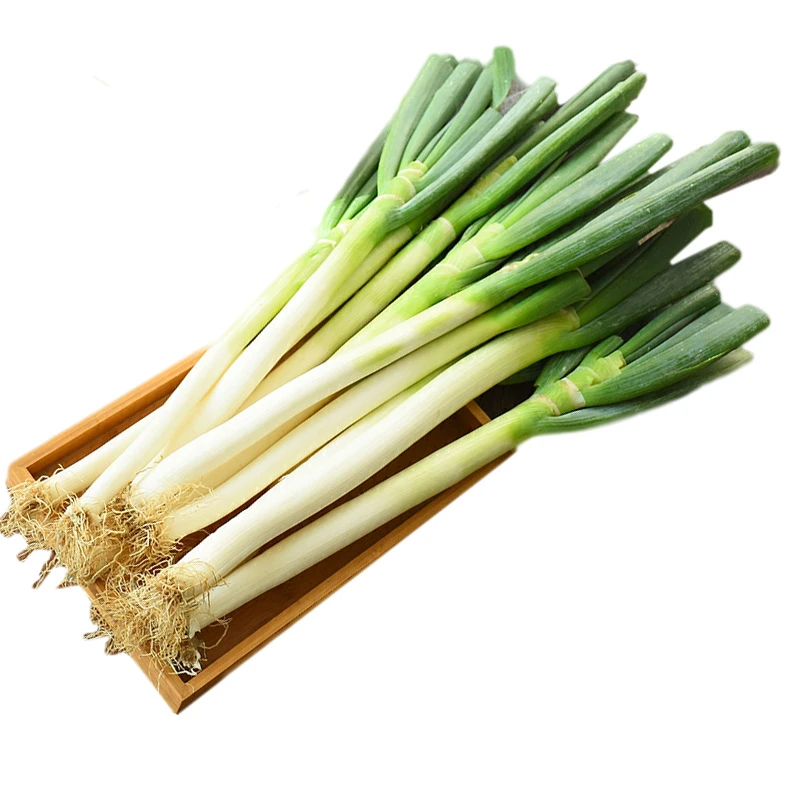 山东铁杆大葱农家特产蔬菜新鲜5斤正宗原产地现发去半叶净葱包邮