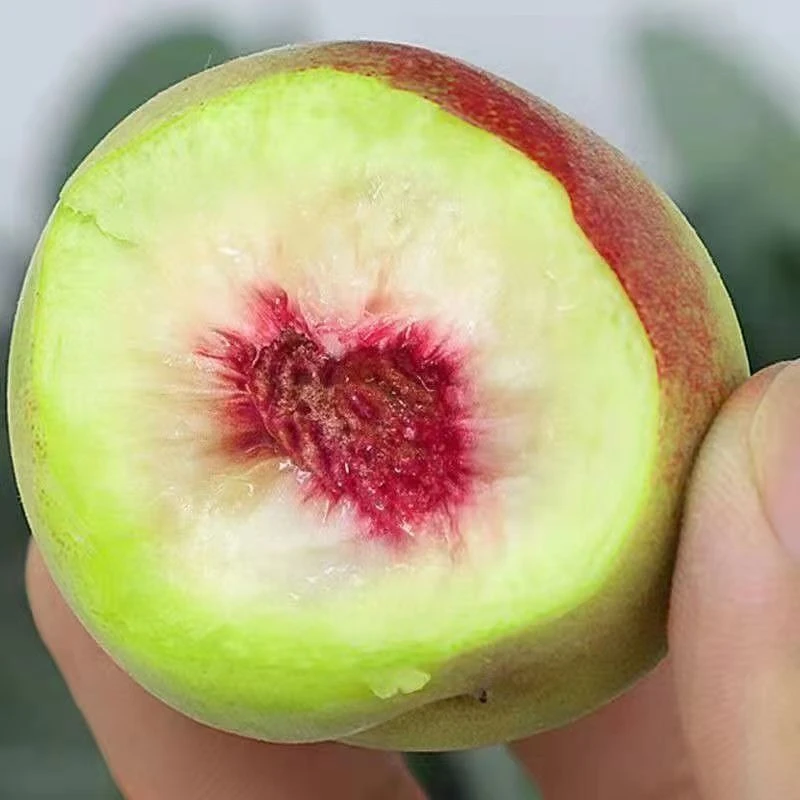 山东潍坊正宗青州蜜桃蜜桃脆甜新鲜水果现摘现发