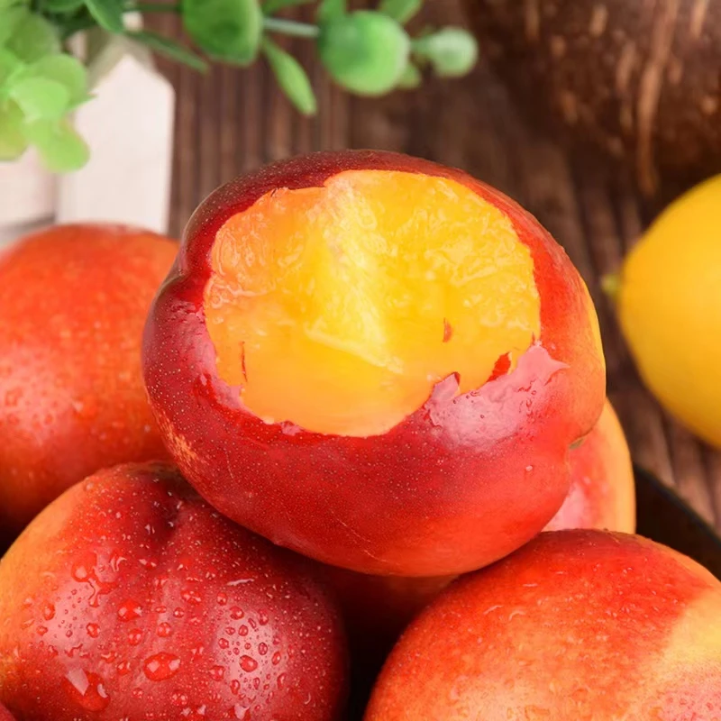 【 现摘现发 】}山东新鲜黄心大油桃应季脆甜多汁3斤/5斤装包邮