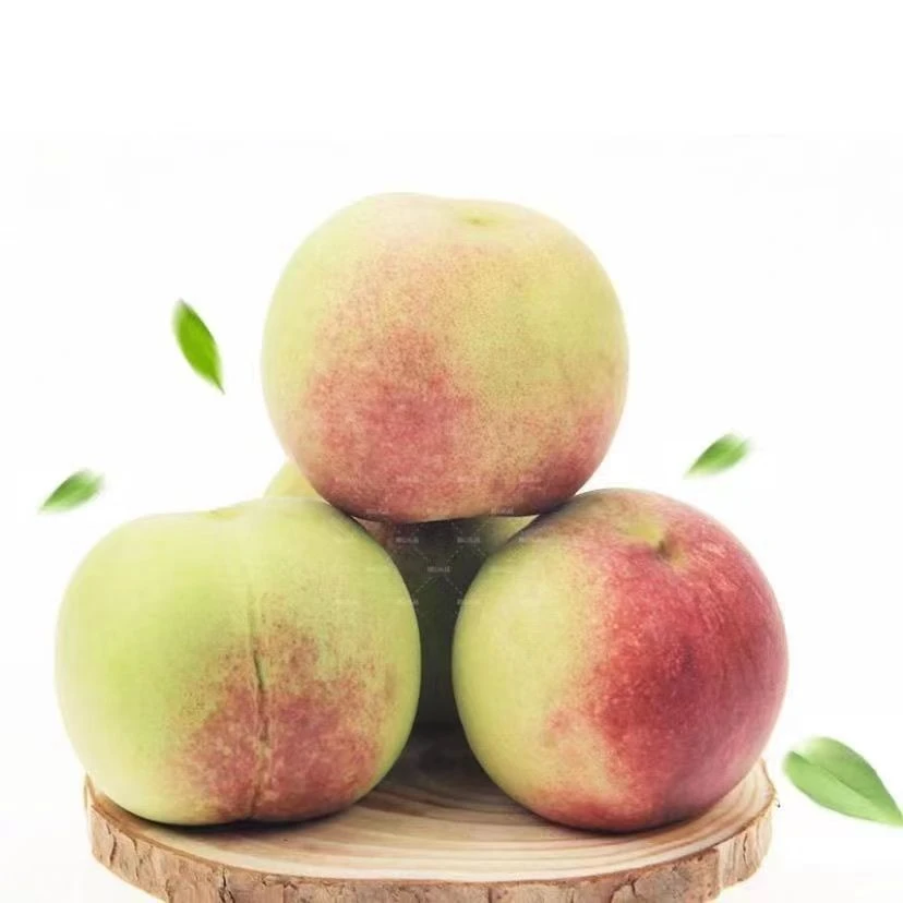 样品山东潍坊正宗毛桃青州蜜桃精选脆甜孕妇水果