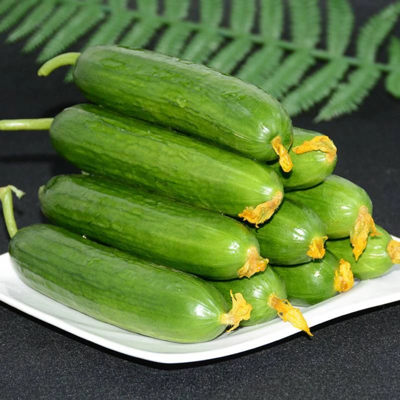水果黄瓜新鲜包邮小黄瓜青瓜旱生吃脆嫩清甜白玉花瓜蔬菜食用无刺